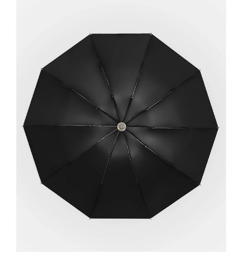 Luxury Automatic Umbrella